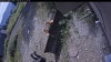 Web Cam Image - Mon, 08/31/2026 11:09am PDT