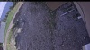 Web Cam Image - Sat, 05/23/2026 3:14pm PDT