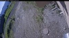 Web Cam Image - Fri, 06/12/2026 7:39am PDT