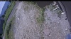 Web Cam Image - Tue, 07/07/2026 10:24am PDT