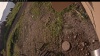 Web Cam Image - Fri, 07/11/2025 4:04am PDT