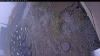 Web Cam Image - Sat, 10/18/2025 7:59pm PDT