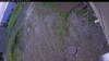 Web Cam Image - Fri, 06/05/2026 7:29pm PDT
