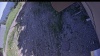 Web Cam Image - Mon, 06/22/2026 1:39pm PDT