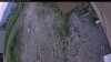 Web Cam Image - Tue, 06/23/2026 7:19pm PDT