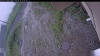 Web Cam Image - Fri, 06/26/2026 12:19pm PDT