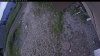 Web Cam Image - Tue, 07/07/2026 4:49pm PDT