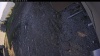 Web Cam Image - Tue, 05/05/2026 6:04pm PDT