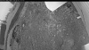 Web Cam Image - Tue, 06/09/2026 7:34pm PDT