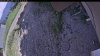 Web Cam Image - Tue, 06/23/2026 2:04pm PDT