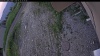 Web Cam Image - Tue, 06/23/2026 7:14pm PDT