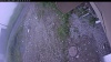 Web Cam Image - Sun, 06/28/2026 8:09am PDT