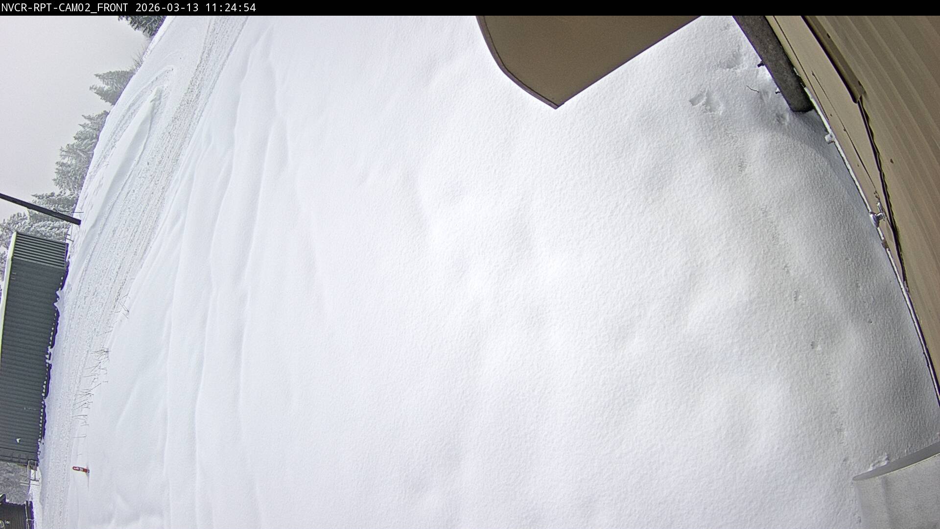 Web Cam History Image - 100