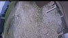 Web Cam Image - Thu, 05/21/2026 11:14am PDT