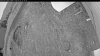 Web Cam Image - Tue, 06/02/2026 8:19pm PDT