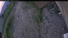 Web Cam Image - Fri, 06/19/2026 7:39pm PDT
