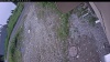 Web Cam Image - Mon, 06/29/2026 10:44am PDT