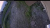 Web Cam Image - Tue, 07/07/2026 3:49am PDT