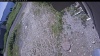 Web Cam Image - Tue, 07/07/2026 10:09am PDT