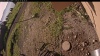 Web Cam Image - Fri, 07/11/2025 3:49am PDT
