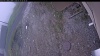 Web Cam Image - Fri, 05/15/2026 5:24am PDT