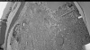 Web Cam Image - Tue, 05/26/2026 5:09am PDT