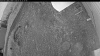 Web Cam Image - Sun, 05/31/2026 8:24pm PDT