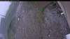 Web Cam Image - Sat, 06/06/2026 9:14am PDT