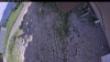 Web Cam Image - Tue, 06/23/2026 1:54pm PDT