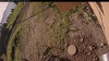 Web Cam Image - Fri, 07/11/2025 3:44am PDT