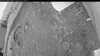 Web Cam Image - Sun, 05/31/2026 8:19pm PDT