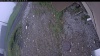 Web Cam Image - Sat, 06/06/2026 9:09am PDT