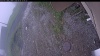 Web Cam Image - Tue, 06/09/2026 10:19am PDT