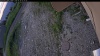 Web Cam Image - Wed, 06/24/2026 3:34am PDT