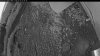 Web Cam Image - Sun, 07/05/2026 3:24am PDT