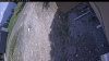 Web Cam Image - Wed, 05/20/2026 12:44pm PDT