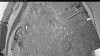 Web Cam Image - Tue, 05/26/2026 4:59am PDT