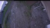 Web Cam Image - Sat, 05/30/2026 5:54am PDT