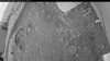 Web Cam Image - Sun, 05/31/2026 8:14pm PDT