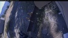 Web Cam Image - Mon, 10/12/2026 11:14am PDT