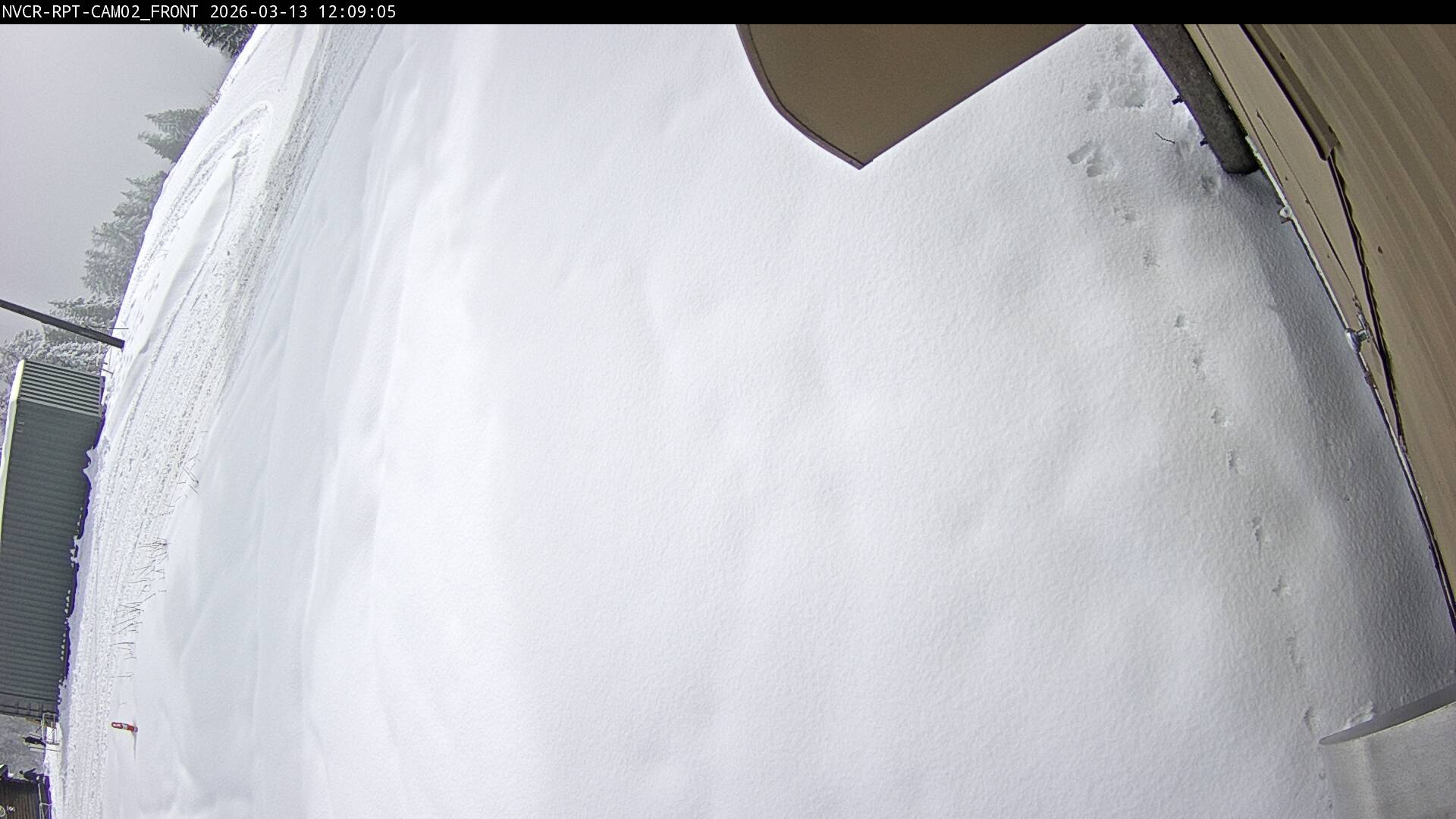 Web Cam History Image - 994