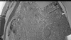 Web Cam Image - Tue, 05/26/2026 4:54am PDT