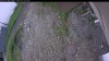 Web Cam Image - Fri, 06/05/2026 4:29am PDT