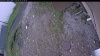 Web Cam Image - Sat, 06/06/2026 8:59am PDT