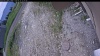 Web Cam Image - Mon, 06/15/2026 10:39am PDT