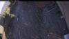 Web Cam Image - Tue, 05/05/2026 5:34pm PDT