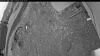 Web Cam Image - Tue, 05/26/2026 4:49am PDT