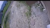 Web Cam Image - Thu, 06/25/2026 10:24am PDT