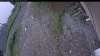 Web Cam Image - Fri, 07/03/2026 11:54am PDT
