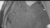 Web Cam Image - Tue, 05/26/2026 4:44am PDT